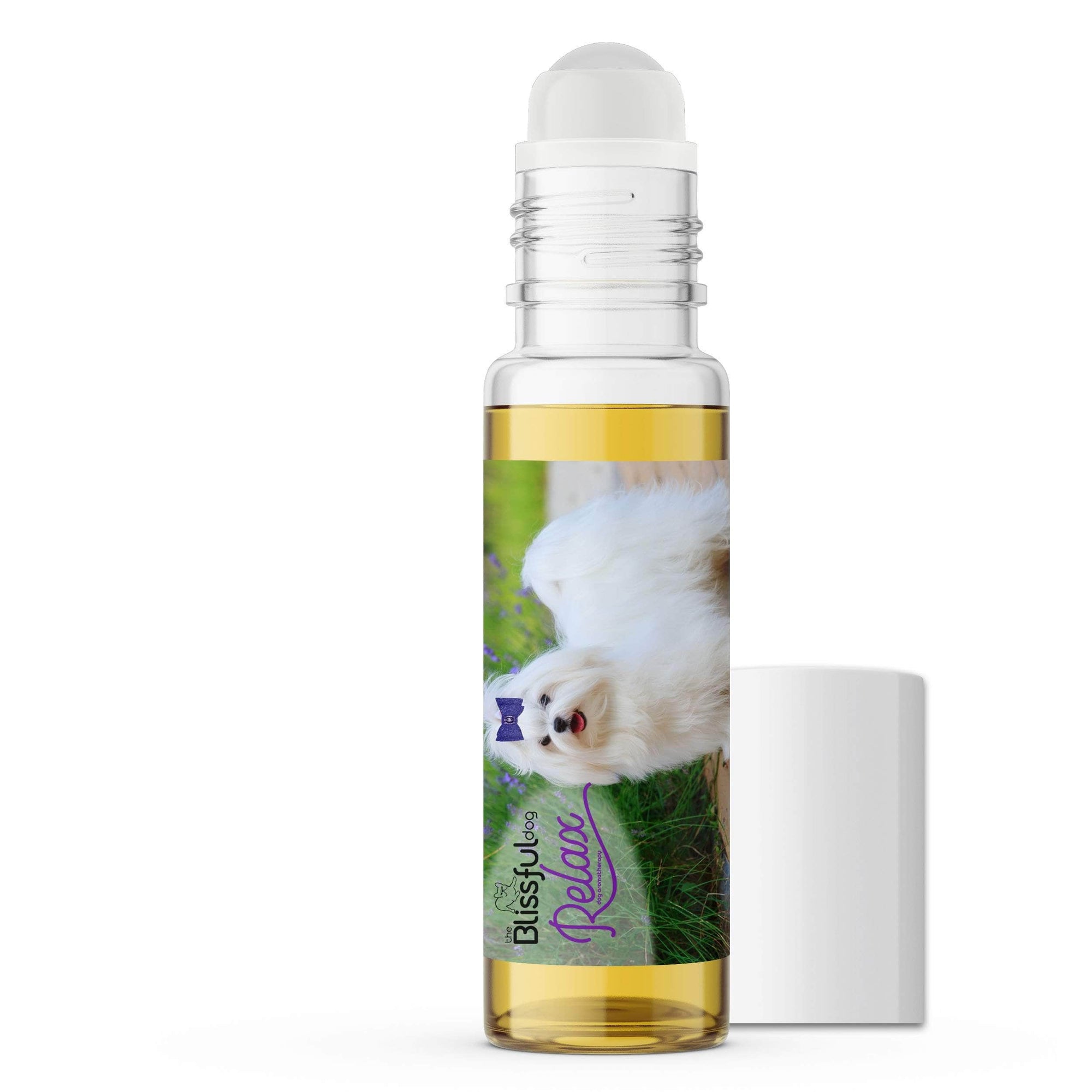 Maltese dog aromatherapy