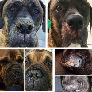 Mastiff Tube Combo