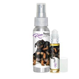Miniature Pinscher Relax Dog Aromatherapy