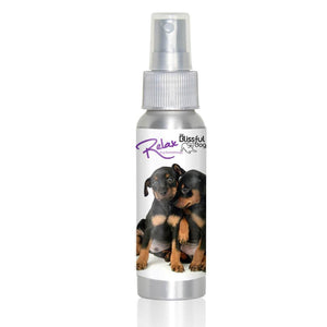 Miniature Pinscher Relax Dog Aromatherapy