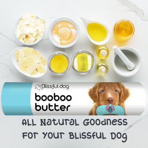 nova scotia duck tolling retriever skin care