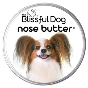 Papillon Nose is dry