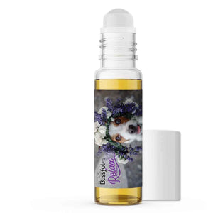 parsons russell terrier hyper