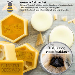 Pekingese Nose is dry