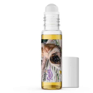 pekingese afraid thunder