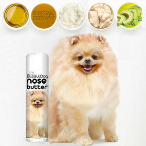 Pomeranian Nose care