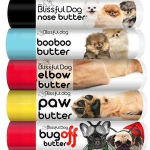 Pomeranian Paw care