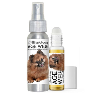 pomeranian senior aromatherapy