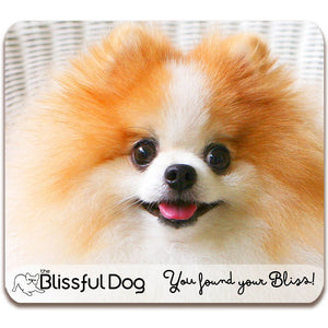pomeranian gift