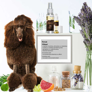 poodle focus dog aromatherapy ingredients