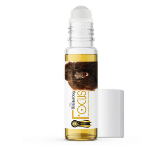 poodle dog focus aromatherapy