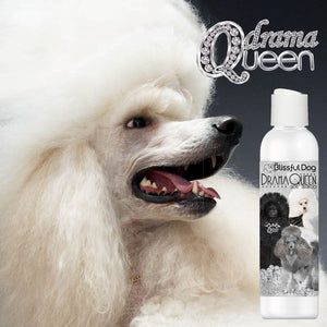 Poodle drama queen shampoo