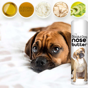 Help Puggle dry Nose