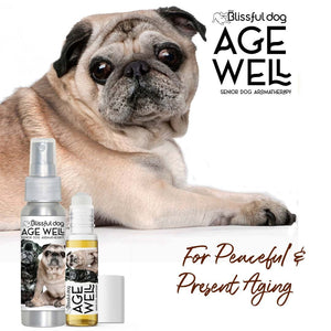 senior pug aromatherapy