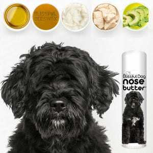 Portuguese Water Dog Nose Moisturizerr
