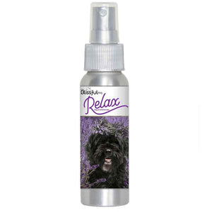 Portuguese Water Dog Relax Dog Aromatherapy