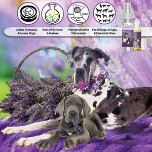 Great Dane Relax Dog Aromatherapy