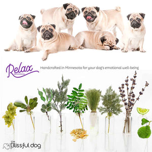 pug dog all natural