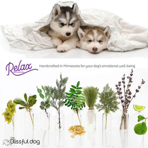 husky aromatherapy