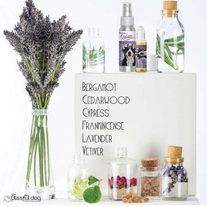 greater swiss mountain dog calming