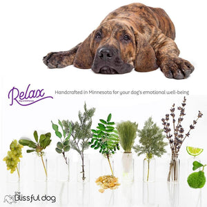 Fila Brasileiro natural aromatherapy