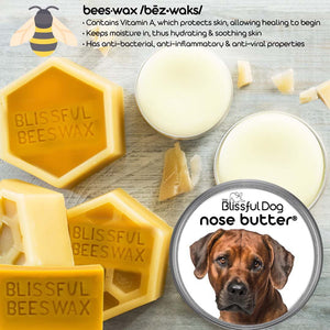 Rhodesian Ridgeback Dry Nose