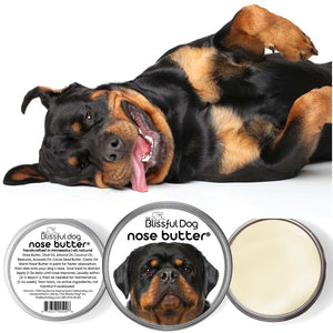 rottweiler chapped nose
