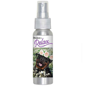 Rottweiler stress