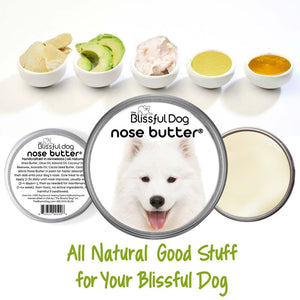 samoyed chapped nose