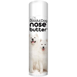 Samoyed has Dry Nose