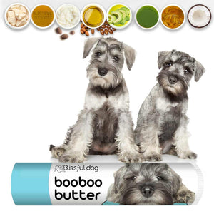 Schnauzer Tube Combo