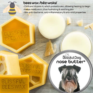 schnauzer dry nose