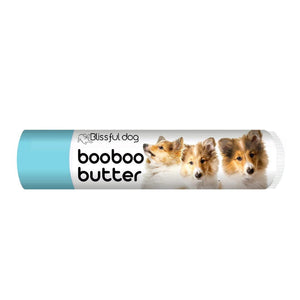 shetland sheepdog skin itchy