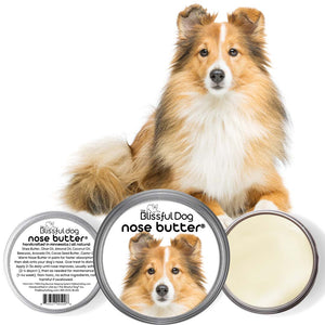shetland sheepdog dry nose