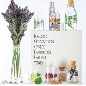 shiba inu aromatherapy