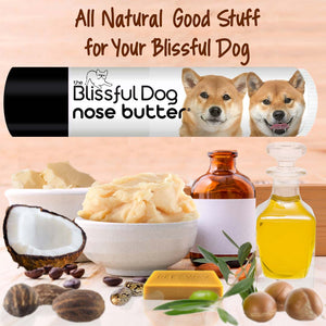 shiba inu chapped nose