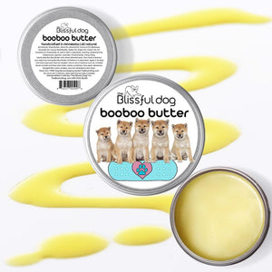 shiba itchy skin
