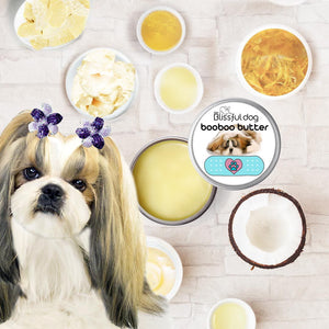 shih tzu itchy