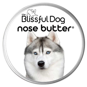 Siberian Husky Nose