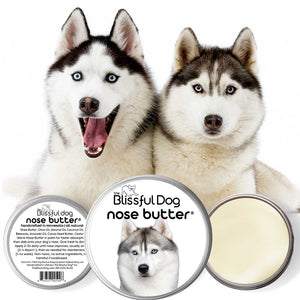 siberian husky nose