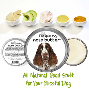 springer spaniel chapped nose