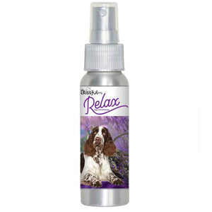 Springer Spaniel Relax Dog Aromatherapy