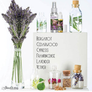 Staffordshire Bull Terrier aromatherapy
