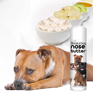 Staffordshire Bull Terrier Nose Care