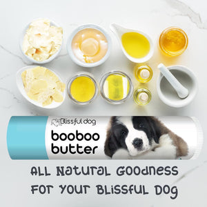 st bernard puppy care