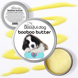 st bernard puppy