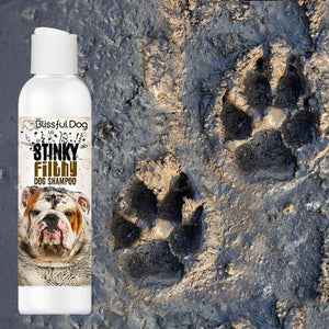 dog shampoo for filthy dogs
