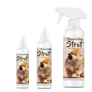 strut dog cologne