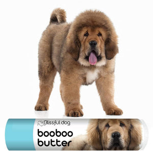Tibetan Mastiff Tube Combo