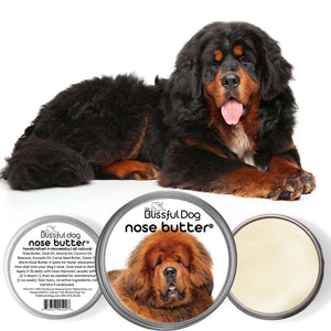 black red tibetan mastiff